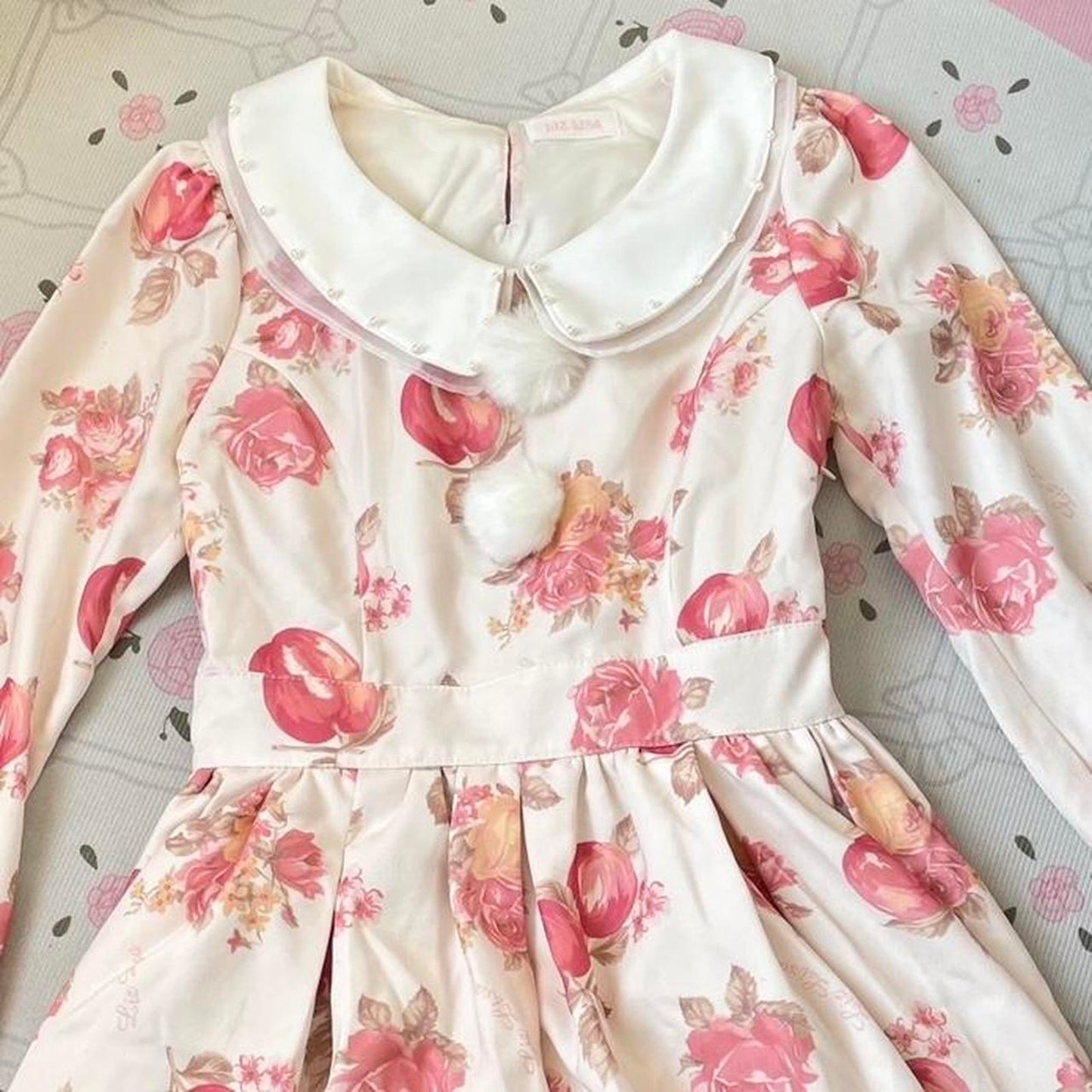 Liz Lisa romantic apple & rose print dress6