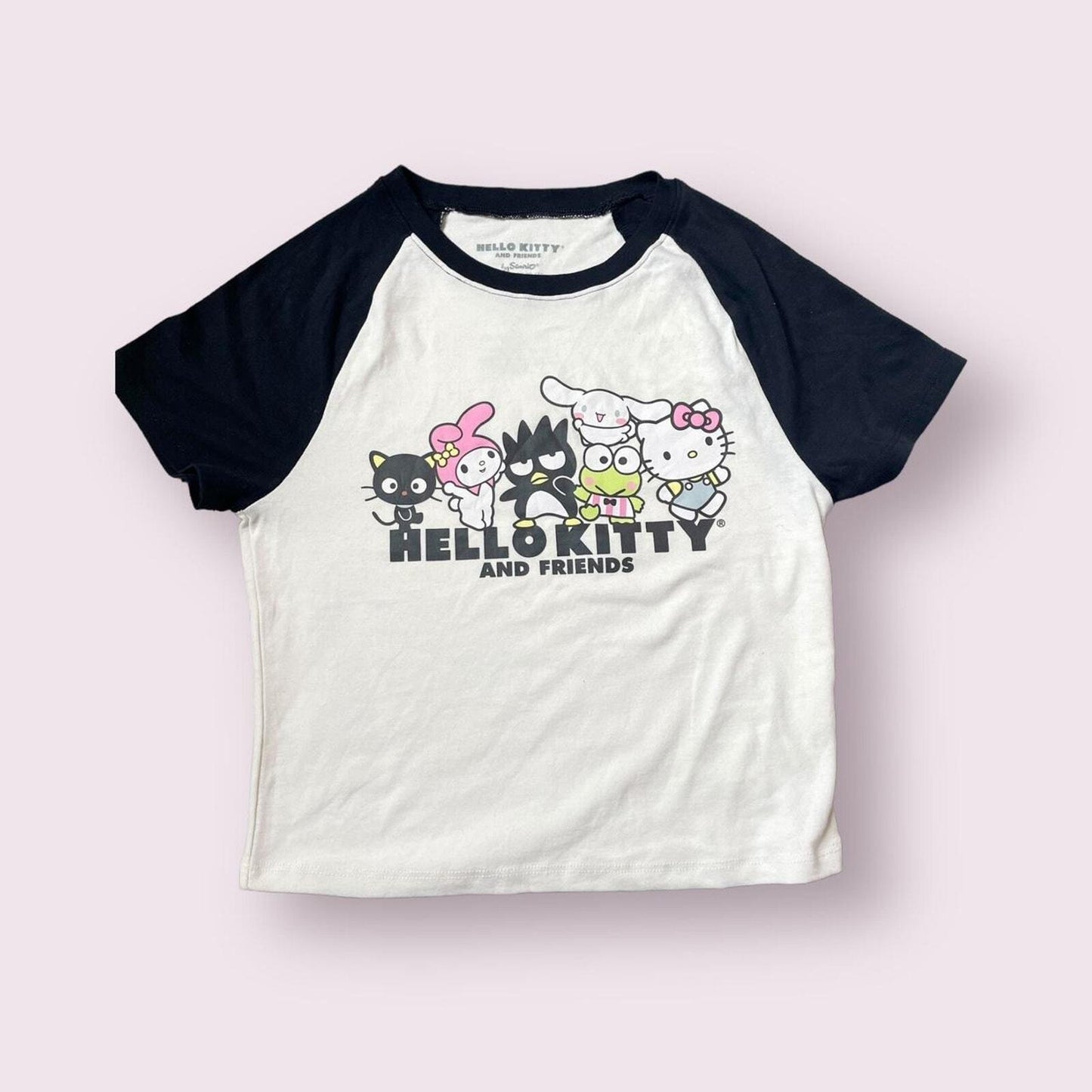 Hello Kitty and Friends T-shirt crop top0