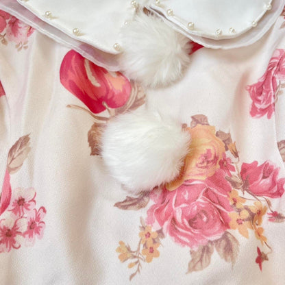 Liz Lisa romantic apple & rose print dress4