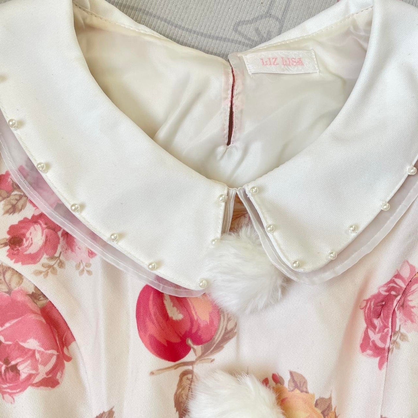 Liz Lisa romantic apple & rose print dress2