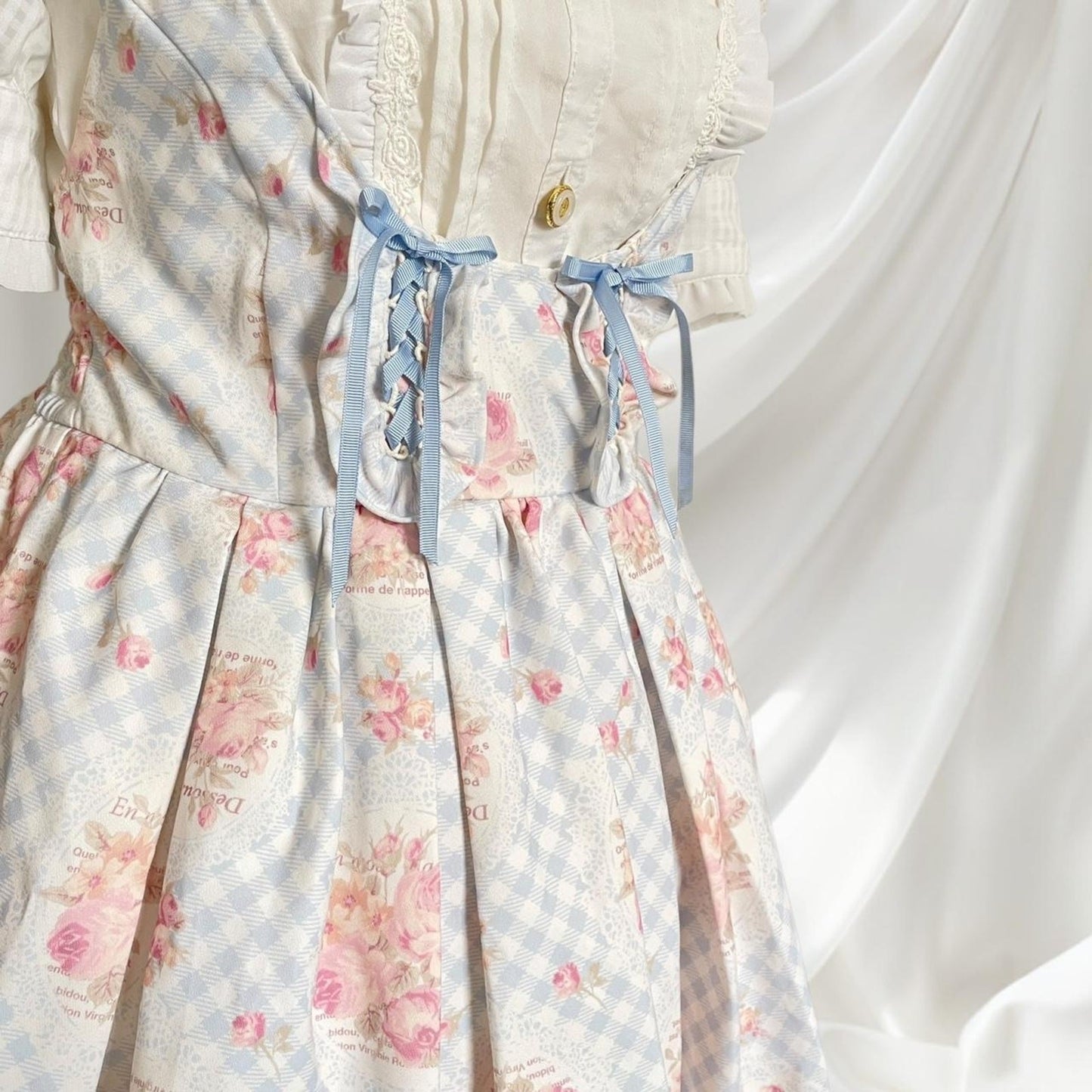 Liz Lisa blue gingham floral JSK dress  himekaji style  (blouse not included)2